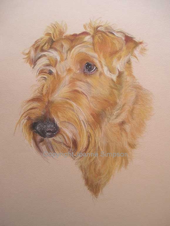 Irish Terrier portrait by Joanne Simpson